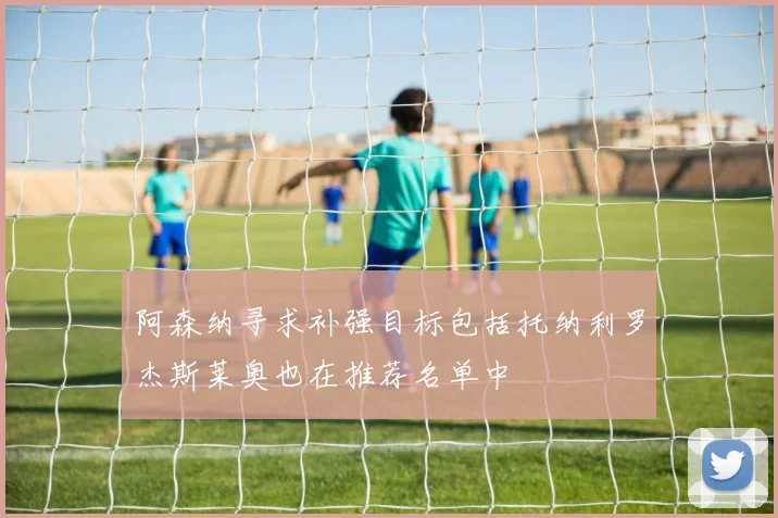 阿森纳寻求补强目标包括托纳利罗杰斯莱奥也在推荐名单中